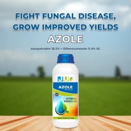 Ju Azole Azoxystrobin 18.2% + Difenoconazole 11.4% SC Fungicide, Broad-Spectrum, Disease Control In All Crops 2