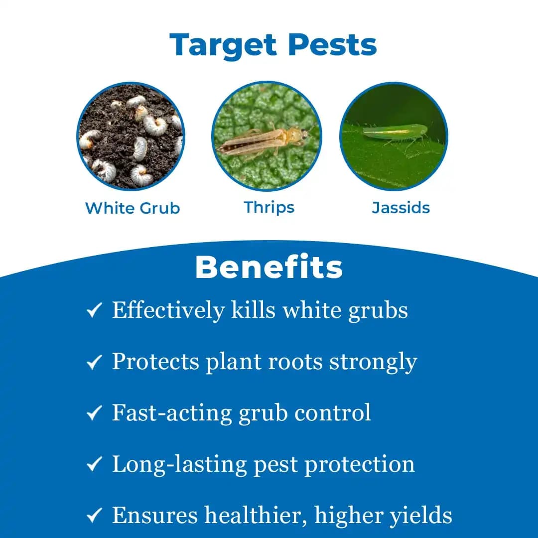 Bayer Lesenta - Imidacloprid 40% + Fipronil 40% ww WG (80 WG) Low Dose and Highly Effective Controls, Best Suited For White Grub Control - Image 3