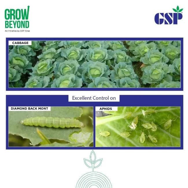 GSP Yamraz Tolfenpyrad 15% EC Insecticide, Efficient For Sucking, Chewing Pests In Vegetables And Field Crops - Image 5