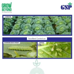 GSP Yamraz Tolfenpyrad 15% EC Insecticide, Efficient For Sucking, Chewing Pests In Vegetables And Field Crops 5