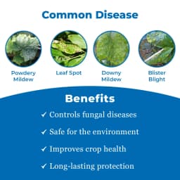 Cropex Ecofit+ Adhatoda Vasica Powder Botanical Extract Biostimulant For Potato Crops Growth 3