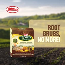 T. Stanes CROWN Nematode Insecticide, Heterorhabditis Indica with Effective Root Grub Control In Crops 2