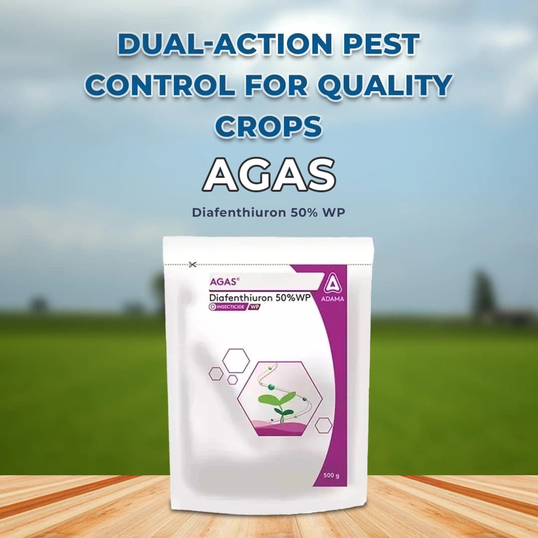 Adama Agas Diafenthiuron 50% WP Insecticides, It is Selective to Beneficial Insects & Predatory Mites. - Image 2
