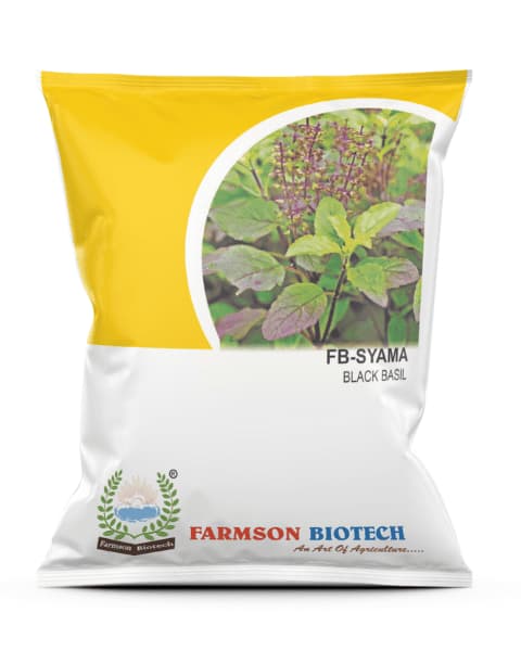 Farmson FB Shyama Black Basil Seeds, Tulsi Seeds, Premium Quality Seeds, Purple Leaves Color
