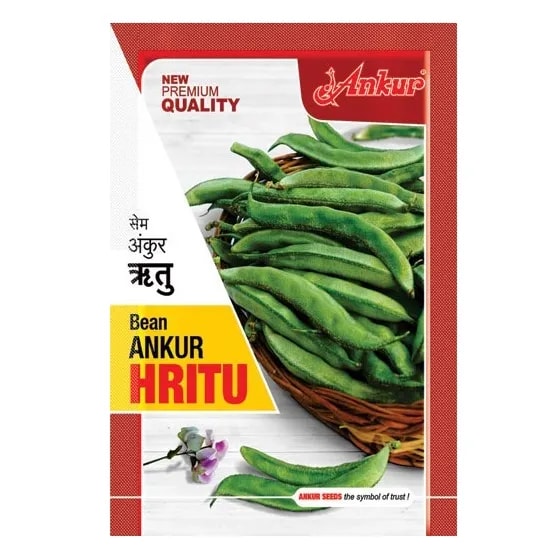Ankur HRITU F1 Hybrid Beans Seeds, Determinate Plant, Dark Green Shiny Pods Variety