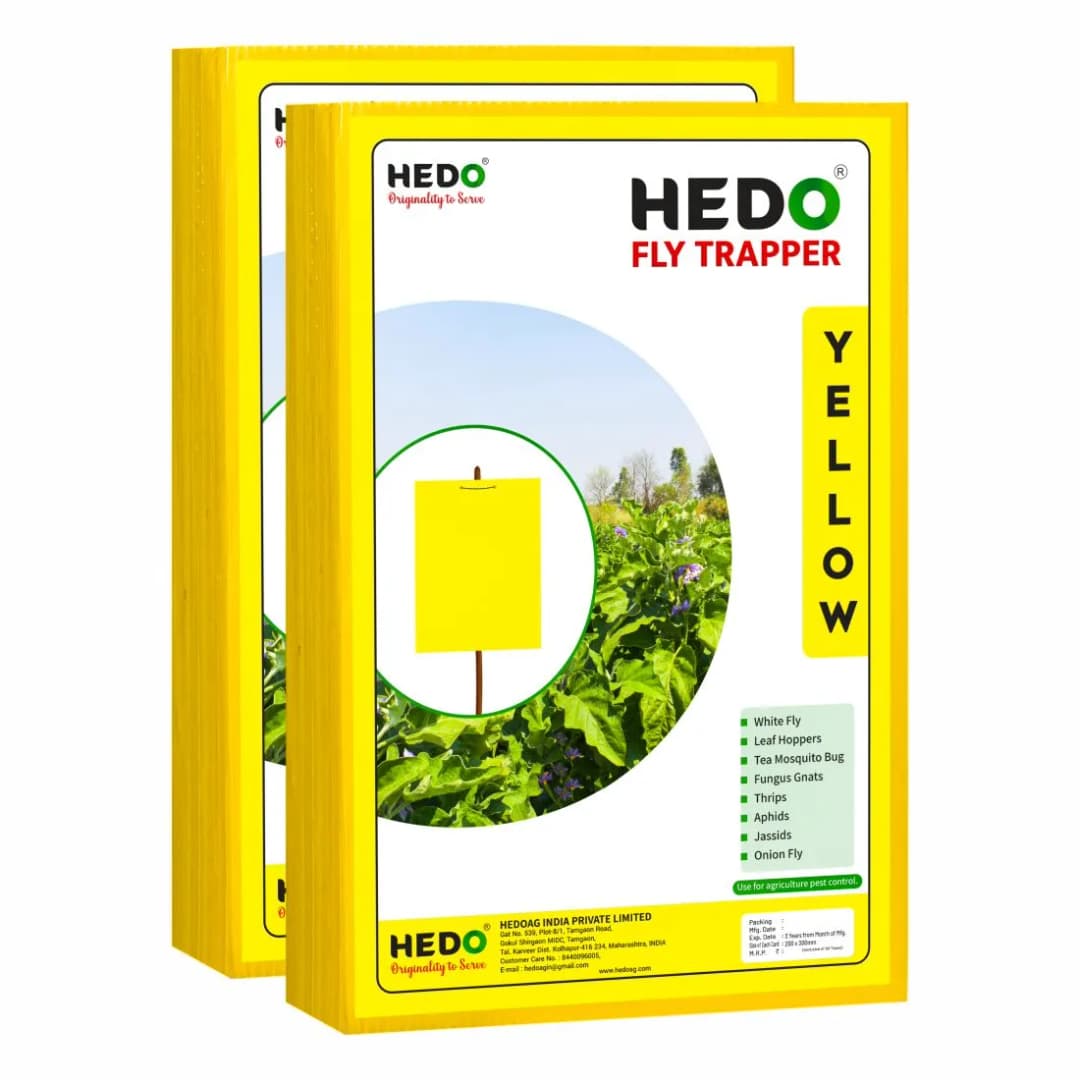 HEDO Eco A4 Size Yellow Sticky Trap For The Insects, Best For Organic Vegetable And Fruits Farming Pest Control - Image 2