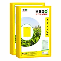 HEDO Eco A4 Size Yellow Sticky Trap For The Insects, Best For Organic Vegetable And Fruits Farming Pest Control 2