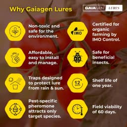 Gaiagen Pheromone Lure For Tomato Leafminer Tuta Absoluta And Insect Water Trap 1.6L, IMO Certified. 6