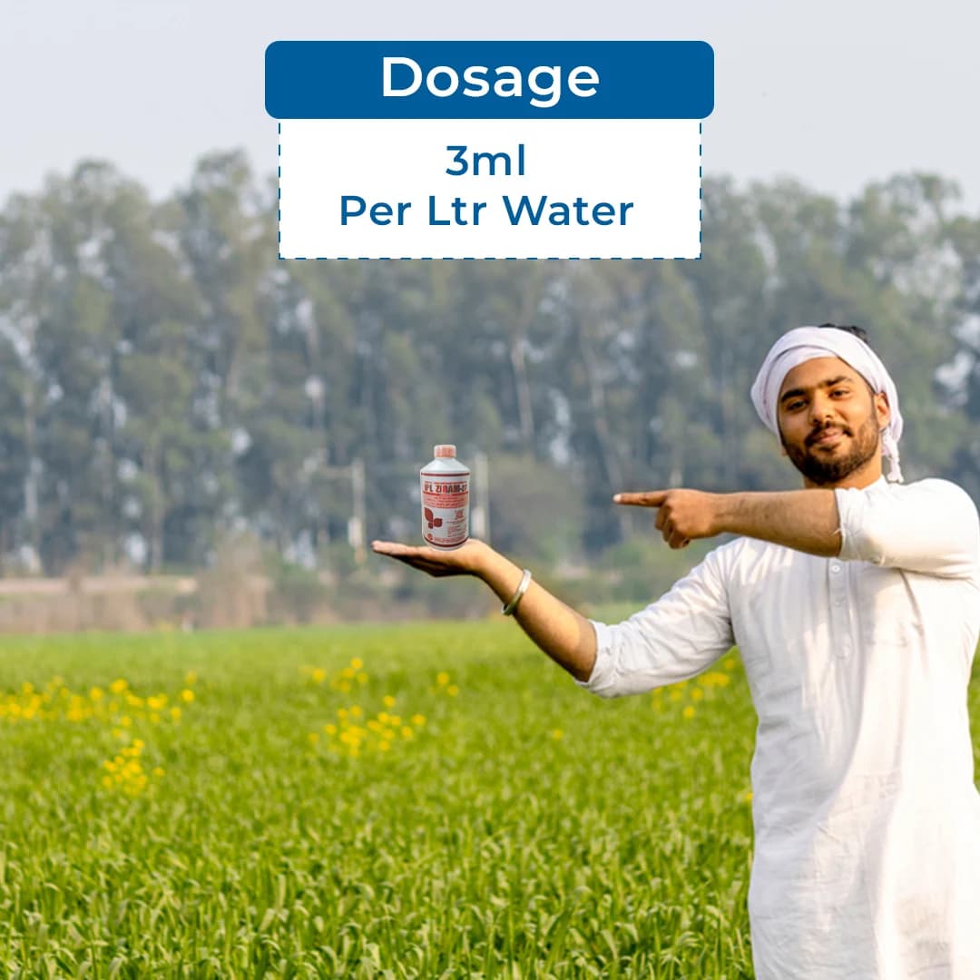 IPL Ziram 27% SC Contact Fungicide, Effective Against Wide Range Fungal Diseases - Image 5