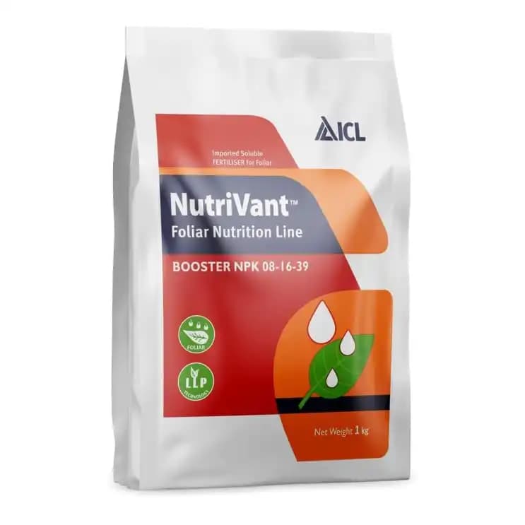 ICL Booster NPK 08:16:39, Nutrivant Foliar Nutrition Line, 100% Water Soluble Fertilizer Mixture for Foliar Application - Image 1