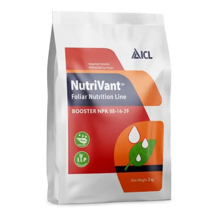 ICL Booster NPK 08:16:39, Nutrivant Foliar Nutrition Line, 100% Water Soluble Fertilizer Mixture for Foliar Application