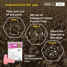 Gaiagen Pheromone Lure for Pink Bollworm (Pectinophora Gossypiella) And Insect Funnel Trap, IMO Certified. 4