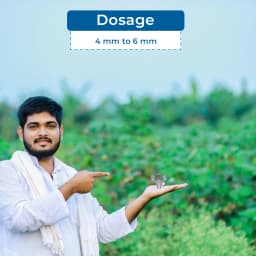 सिद्धि गार्डन प्लांट ग्राफ्टिंग क्लिप 4 से 6 मिमी ग्राफ्टिंग क्लिप व्हाइट, प्लांट स्ट्रेटनर क्लिप 5