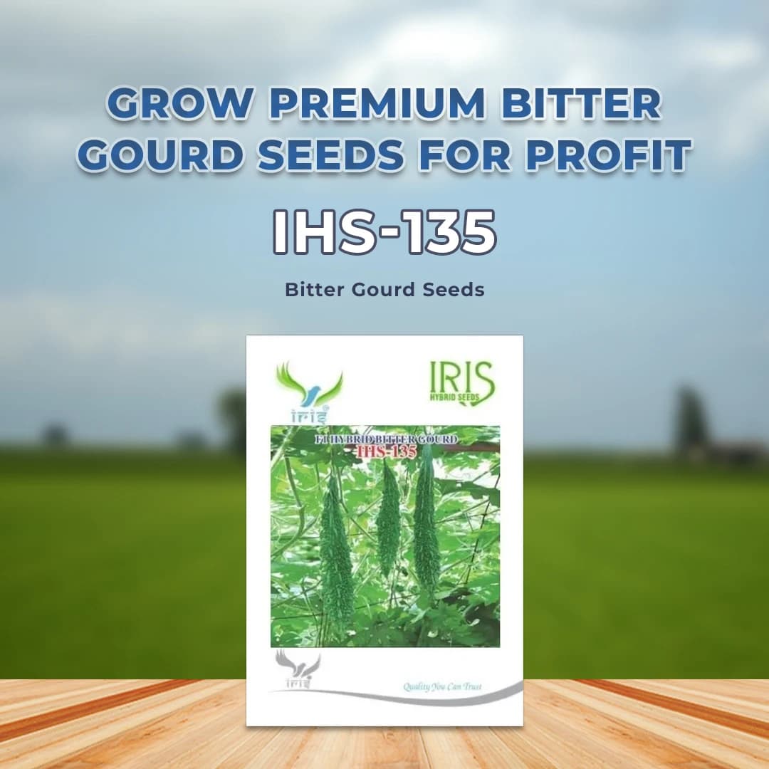 Iris IHS-135 F1 Hybrid Bitter Gourd Seeds, Vegetable Seeds, Dark Green Color - Image 2