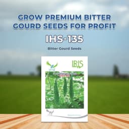 Iris IHS-135 F1 Hybrid Bitter Gourd Seeds, Vegetable Seeds, Dark Green Color 2