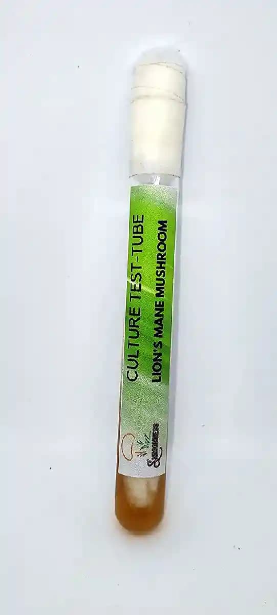 SporeKart Lion\'s Mane Mushroom Culture In Test-Tube, 100% Clean, Active Mycelium Culture In Test-Tube - Image 2