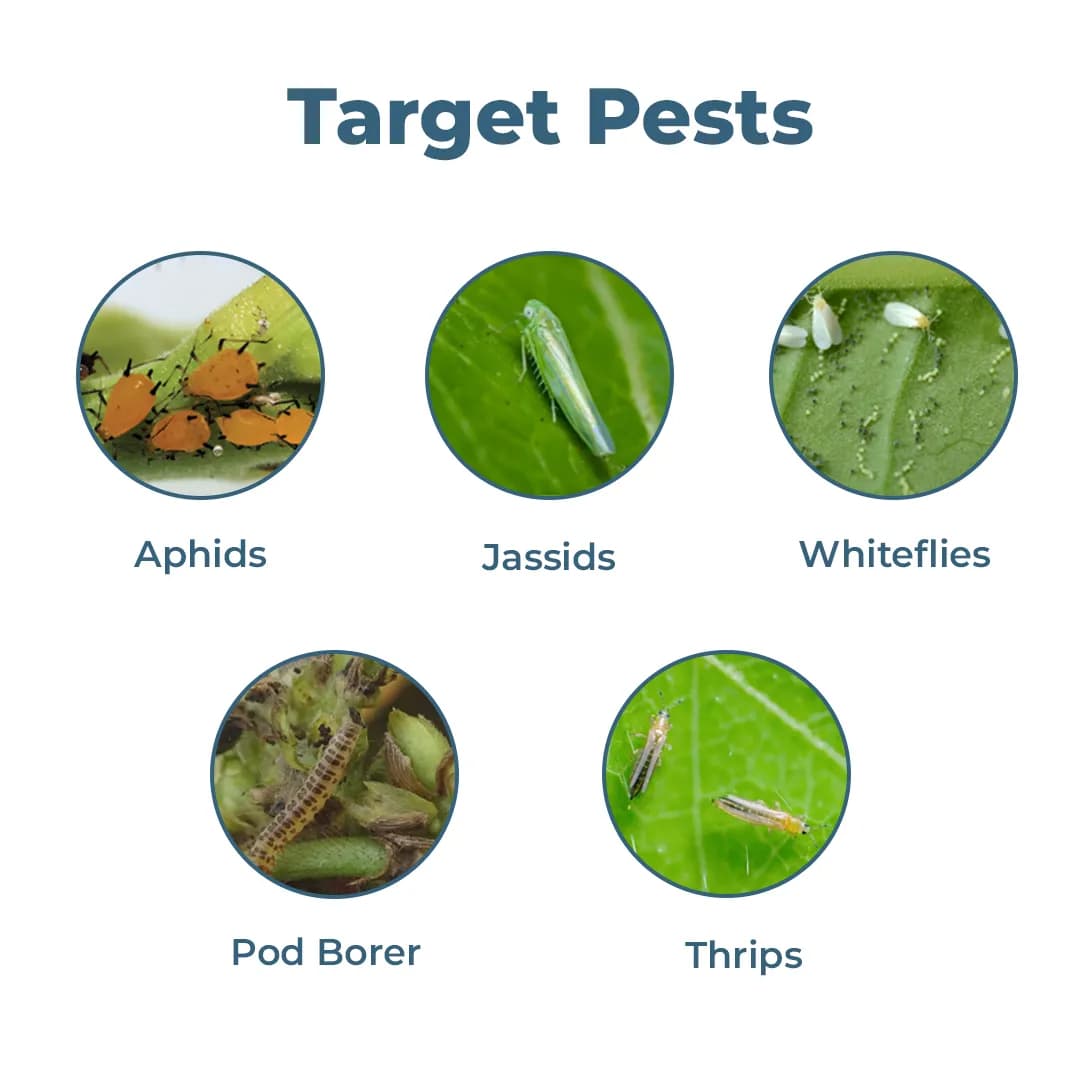 EBS ETHON HUNT Ethion 50% EC Insecticides, Effective Against Thrips, Aphids, Post and Pre Construction Termite Treatment - Image 3