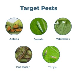 EBS ETHON HUNT Ethion 50% EC Insecticides, Effective Against Thrips, Aphids, Post and Pre Construction Termite Treatment 3