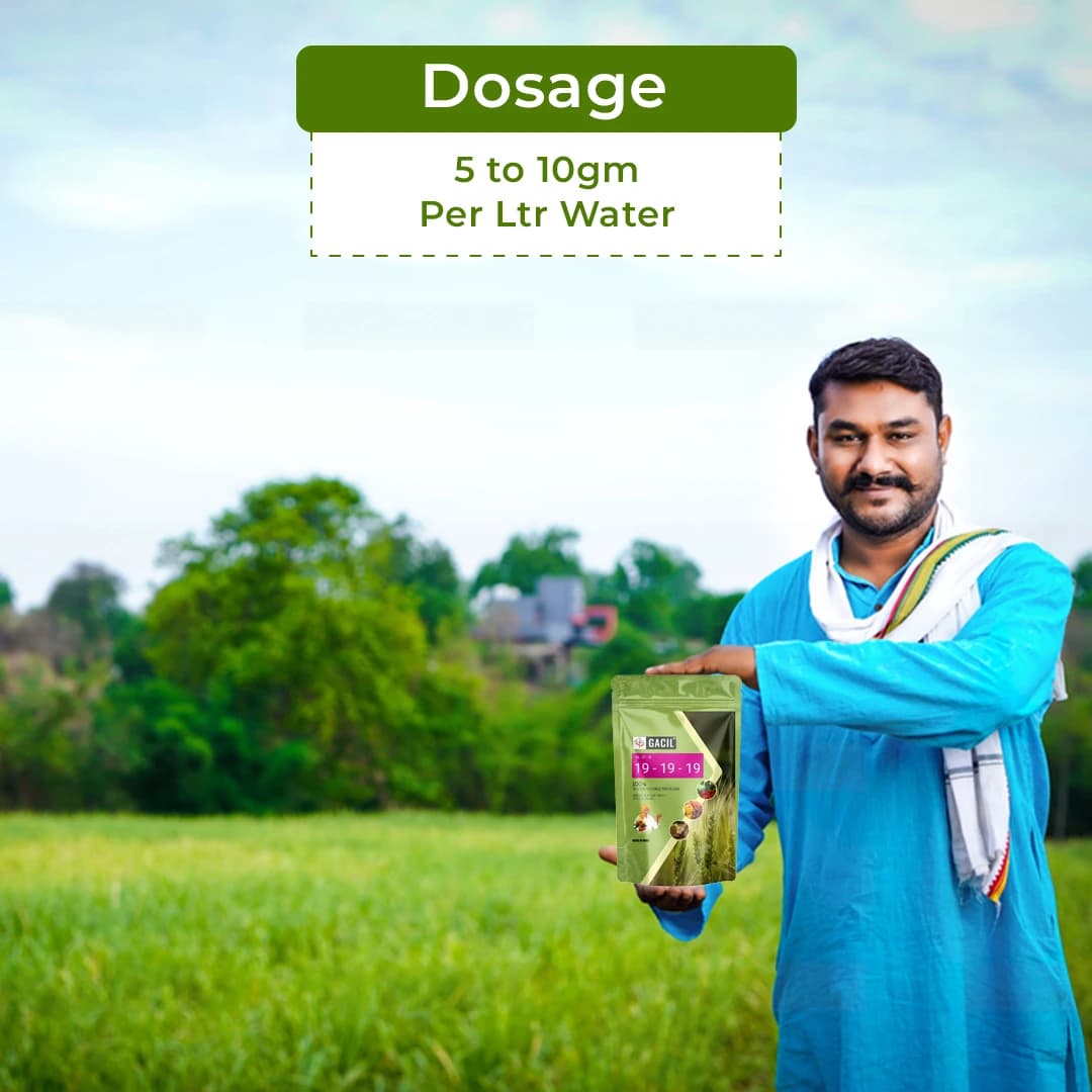 NPK 19:19:19 Water Soluble Fertilizer For Plants And Vegetables For Fast Growth And Flowering. - Image 5