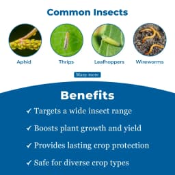 EBS Thiomax Thiamethoxam 25% Wg Insecticide, Broad spectrum Controls Sucking And Chewing Pests In Many Crops 3