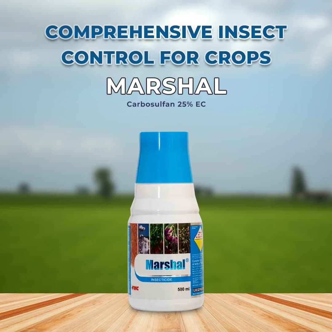 FMC Marshal Carbosulfan 25% EC. A Systemic, Broad-Spectrum Carbamate Insecticides. - Image 2