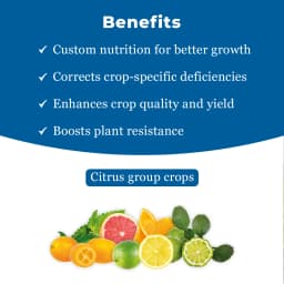 Greenovate Nutrivate Arka Citrus Special, Mix Micronutrients (Zinc, Ferrous, Boron, Manganese, Copper, Magnesium, Molybdenum & Other) 4