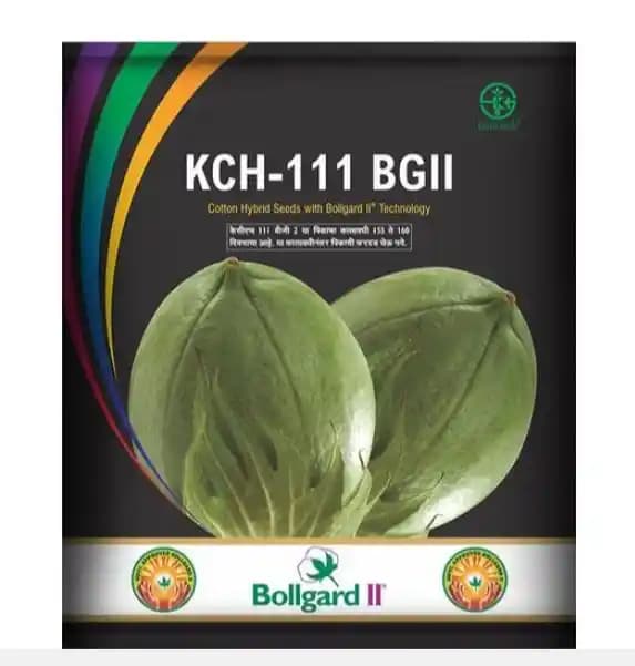 Kaveri KCH 111 Cotton Seeds - Tall Open Plant Large Bolls (475 Gm) - Image 1