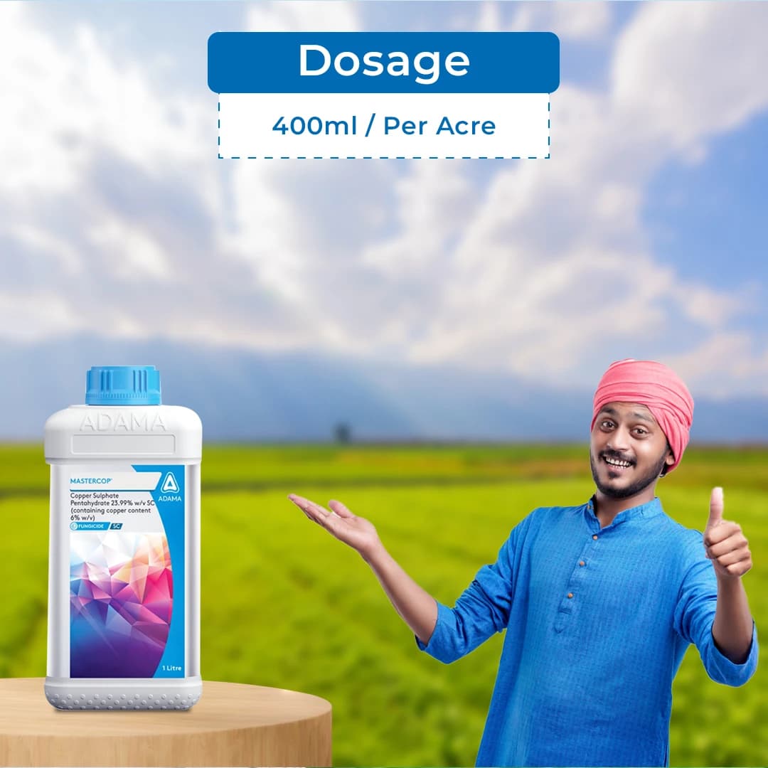 Adama Mastercop Copper Sulfate Pentahydrate 23.99% Fungicide, Release Of Copper Ions For Faster Activity On Pathogens Present On The Leaves - Image 5