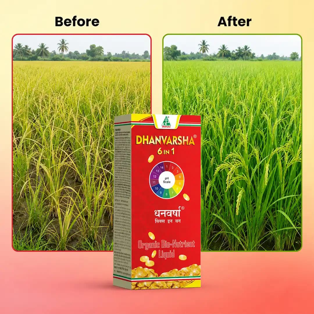 Dhanuka Dhanvarsha 6 In 1 Organic Bio-Nutrient Liquid - Image 6