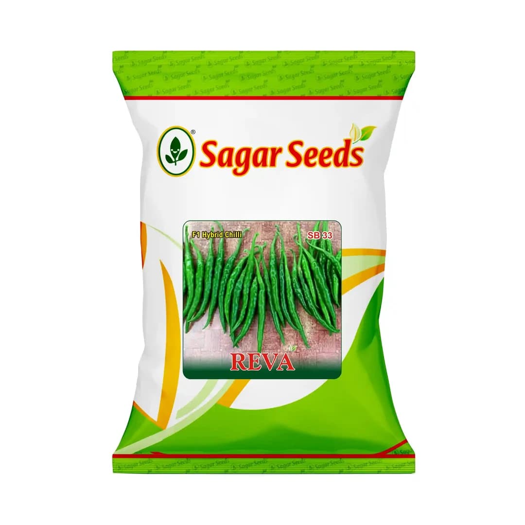 Sagar Reva Chilli Seeds - (Mirchi Seeds) High Pungency, Dual Purpose, Early Maturity - Image 1