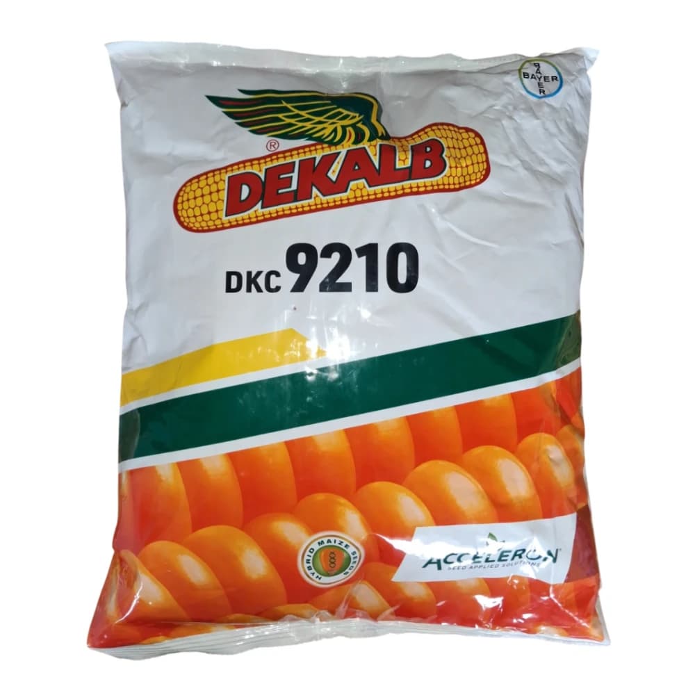 Bayer Dekalb 9210 Hybrid Corn, Maize Seeds, Makka Seeds, High Yielding, Kharif Crop