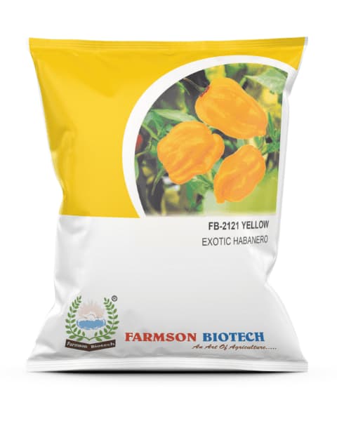 Farmson FB-2120 Yellow Habanero, F1 Hybrid Chilli Seeds, Mirchi Ke Beej, Rippled Lantern Shape
