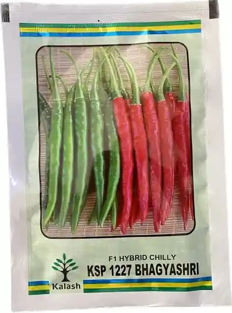 Kalash Chilli KSP 1227 Bhagyashri F1 Hybrid Seeds, Dark Green Color, Pungent Variety