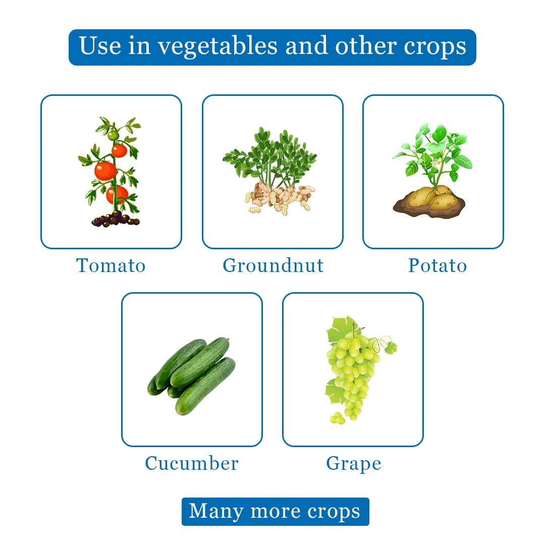 Katyayani Elpi Mancozeb 64% Cymoxanil 8% Wp Fungicide For Plants Control Downy Mildew Late Blight - Image 4