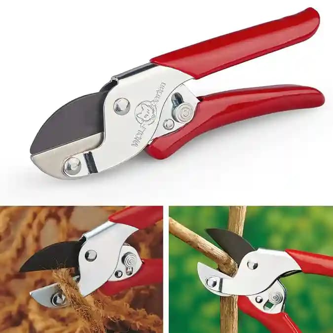 Wolf Garten Anvil Secateurs (RS-EN), Plant Cutter For Home Garden, Wood Branch Trimmer, Comfortable And Lightweight - Image 3