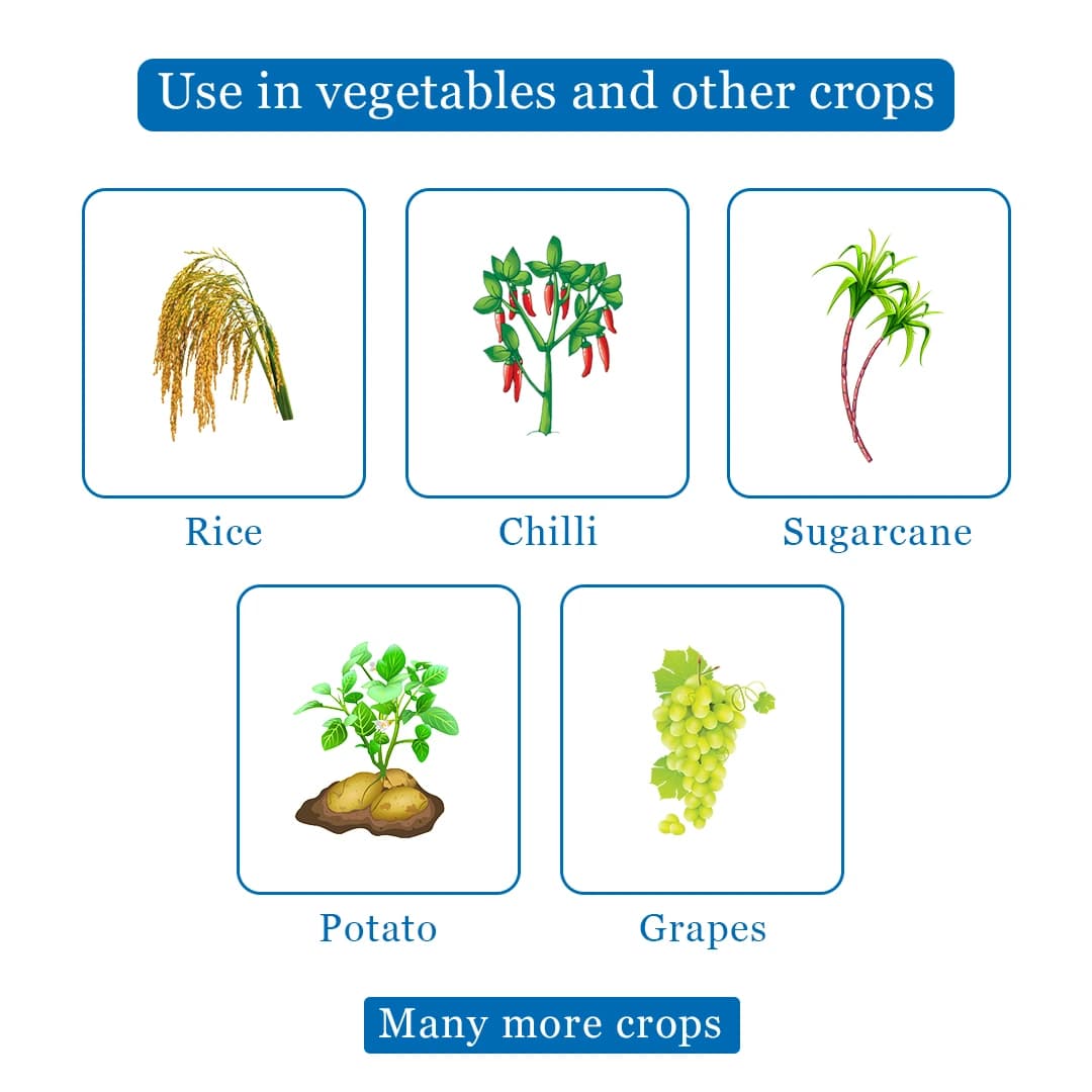 EBS B-PRO Buprofezin 25% SC Insecticide, Use For Apple, Rice, Mango, and Grape - Image 4
