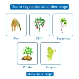 EBS B-PRO Buprofezin 25% SC Insecticide, Use For Apple, Rice, Mango, and Grape 4