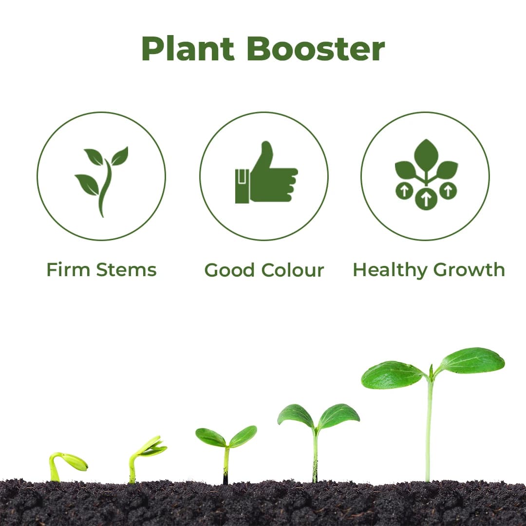 आनंद टफ फाइट 90% पाउडर - सक्रिय फास्फोरस और पोटाश का संयोजन, उपज बढ़ाने में मदद करता है। - Image 3