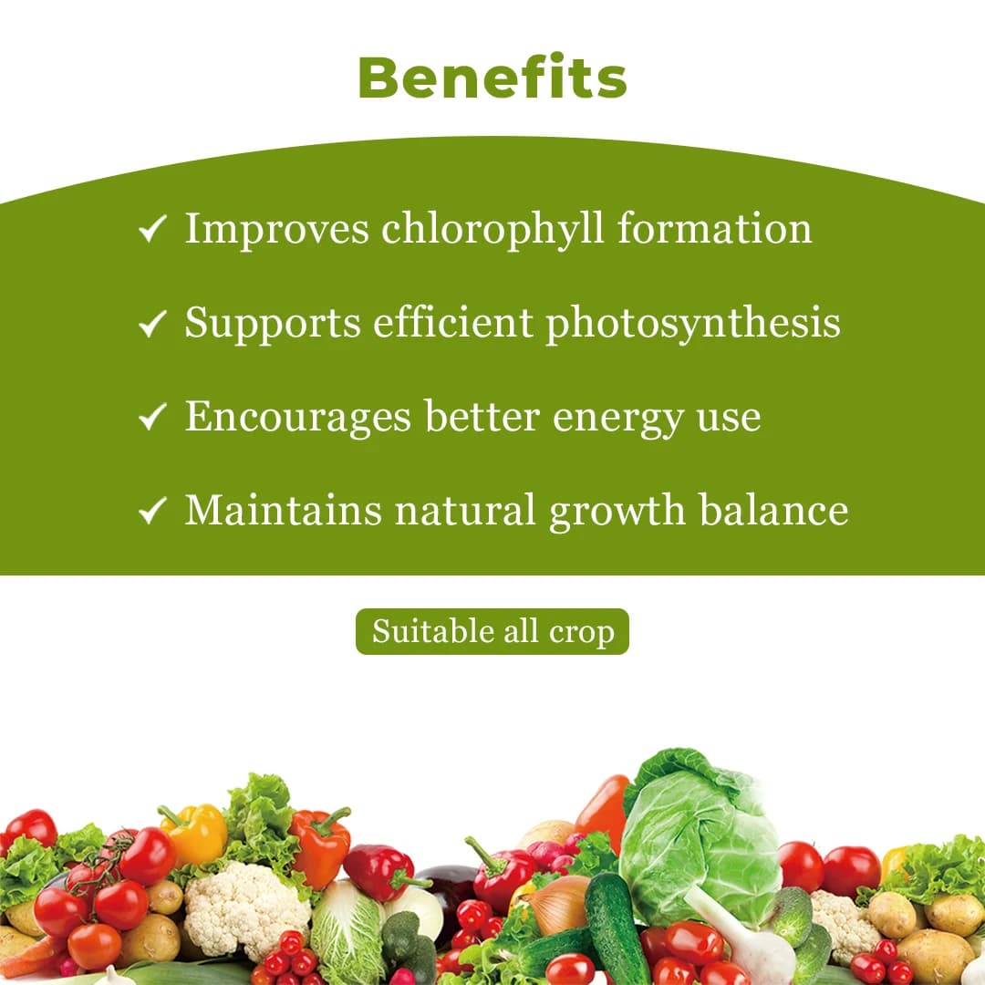 जीएसीआईएल कैल्शियम मैग्नीशियम नाइट्रेट लिक्विड माइक्रोन्यूट्रियेंट खाद - पौधों की वृद्धि के लिए। - Image 4