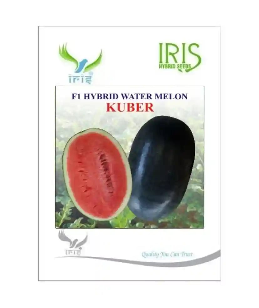 Iris Hybrid Fruit Seeds F1 Hybrid Watermelon Kuber - Icebox Segment, Tarbuj Ke Beej