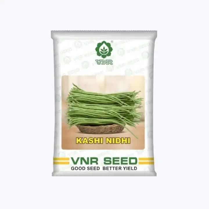 VNR Kashi Nidhi Cowpea Open Poliinated Variety Seed, Indeterminate Growth Habit - Image 1