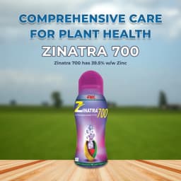 FMC Zinatra 700 (Zinc Oxide Suspension Concentrate 39.5% ww Zinc) , Provides More Zinc To Plants Compared To Traditional Zinc Formulations 2