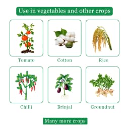 Lamor Pro Insecticide - Lambda Cyhalothrin 5% EC 4