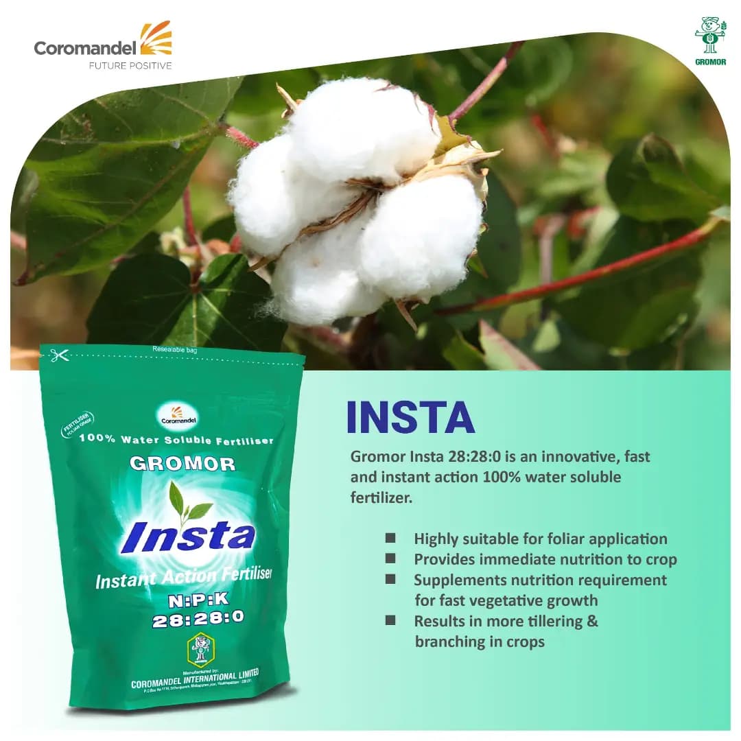 Coromandel Gromor Npk 28:28:00 Insta Fertilizer, 100% Water Soluble, Fast Acting For Crops Growth - Image 2