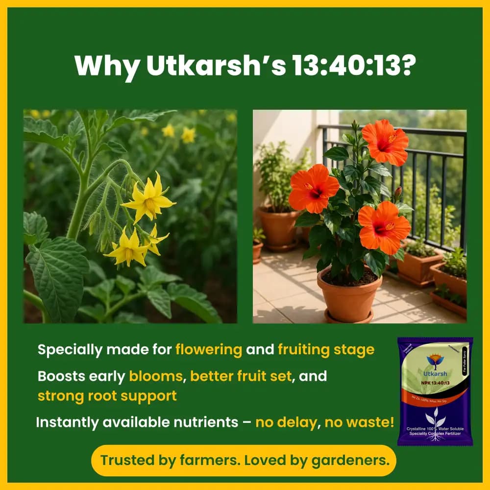 Utkarsh NPK 13:40:13 (Crystalline 100% Water Soluble Complex Fertilizer), Best for Drip Irrigation - Image 2