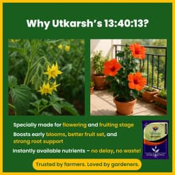 Utkarsh NPK 13:40:13 (Crystalline 100% Water Soluble Complex Fertilizer), Best for Drip Irrigation 2