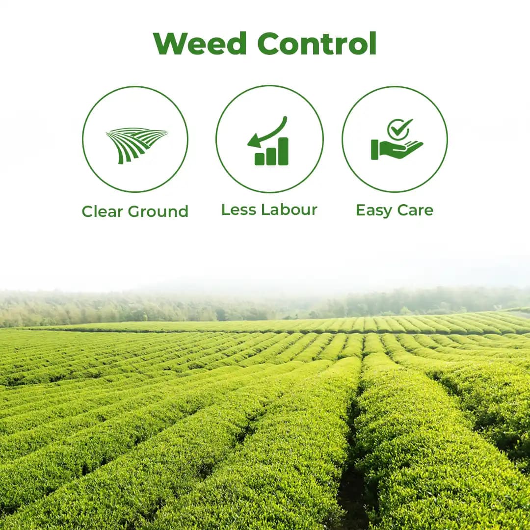 Katyayani Weed Killer Liquid For Lawn And Garden , Used for Removes Unwanted Plants Weeds , Available as Liquid. - Image 3