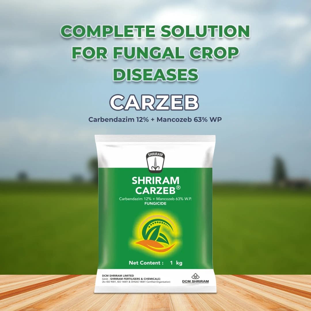 Shriram CARZEB Carbendazim 12% + Mancozeb 63% WP Fungicide, Effective For Fruits, Vegetables And Field Crops - Image 2