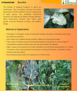 Easykrishi Fungikure Fungicide For Controlling Fungal Infection, Protecting Plants And Crops From Fungal Diseases. 3
