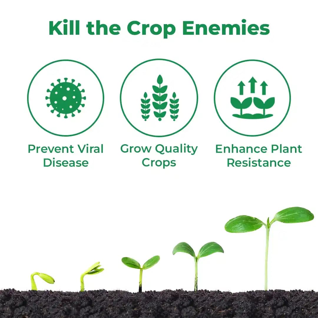 V Bind Viral Disease Special, Cure against Viral diseases, Treating Leaf Mosaic, Bunchy Top, Leaf Curl, and Other Viral Diseases. - Image 3